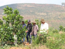 Đẩy mạnh liên kết sản xuất gắn với tiêu thụ nông sản theo hướng gia tăng giá trị sản phẩm, nâng cao lợi thế cạnh tranh trong xây dựng nông thôn mới ở huyên Đắk Hà tỉnh Kon Tum hiện nay